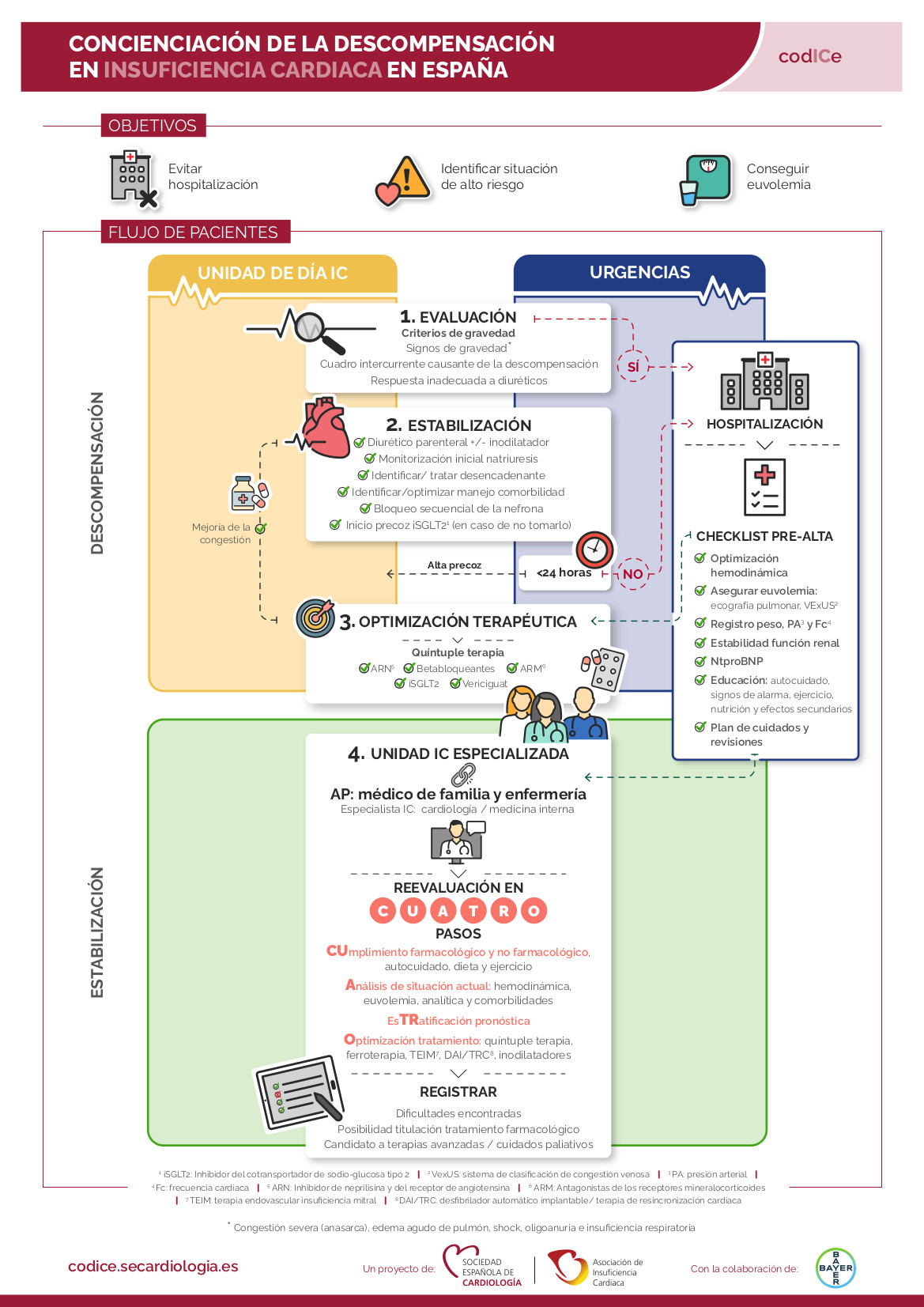 codice infografia